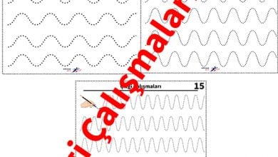 Cizgi_Calisma_4_Ornek_Resim