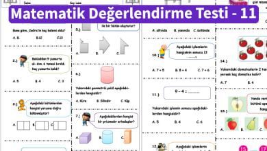 ilkokul_1_Sinif _Matematik_Degerlendirme_Testi_11_Ornek_Resim