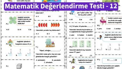 ilkokul_1_Sinif _Matematik_Degerlendirme_Testi_12_Ornek_Resim