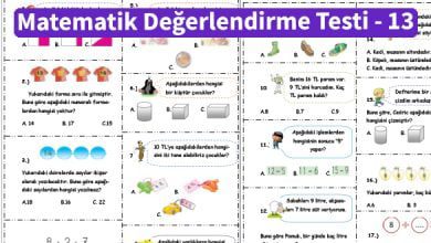 ilkokul_1_Sinif _Matematik_Degerlendirme_Testi_13_Ornek_Resim