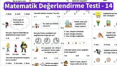 ilkokul_1_Sinif _Matematik_Degerlendirme_Testi_14_Ornek_Resim