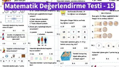 ilkokul_1_Sinif _Matematik_Degerlendirme_Testi_15_Ornek_Resim