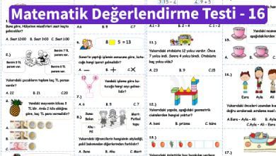 ilkokul_1_Sinif _Matematik_Degerlendirme_Testi_16_Ornek_Resimv