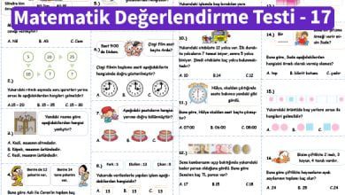 ilkokul_1_Sinif _Matematik_Degerlendirme_Testi_17_Ornek_Resim