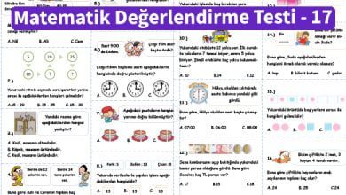 ilkokul_1_Sinif _Matematik_Degerlendirme_Testi_17_Ornek_Resim