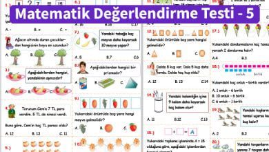 ilkokul_1_Sinif _Matematik_Degerlendirme_Testi_5_Ornek_Resim.jpg