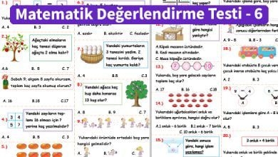 ilkokul_1_Sinif _Matematik_Degerlendirme_Testi_6_Ornek_Resim.jpg