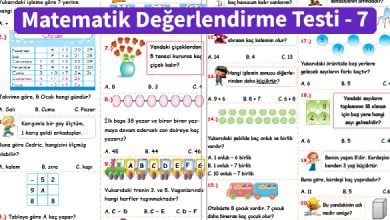 ilkokul_1_Sinif _Matematik_Degerlendirme_Testi_7_Ornek_Resim