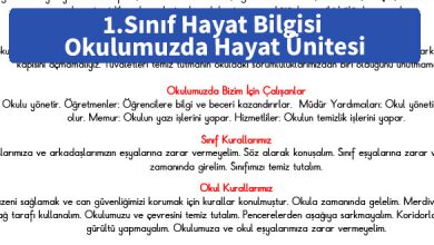 ilkokul_1_Sinif_Hayat_Bilgisi_Okulumuzda_Hayat_Unitesi_Calismasi_ornek_resim