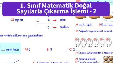 ilkokul_1_Sinif_Matematik_Dogal_Sayilarla_Cikarma_islemi_2_ornek_resim