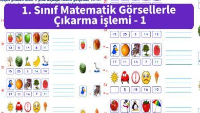 ilkokul_1_Sinif_Matematik_Gorsellerle_Cikarma_islemi_ornek_resim