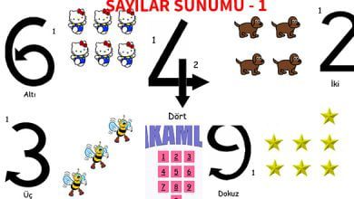 ilkokul_1_Sinif_Sayilar_sunum_1_Ornekilkokul_1_Sinif_Sayilar_sunum_1_Ornek