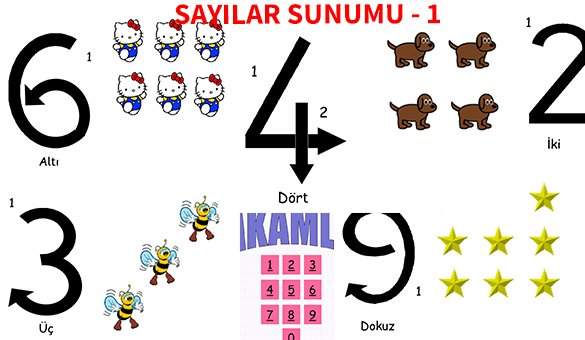 ilkokul 1 Sinif Sayilar sunum 1 Ornek