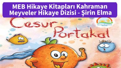 MEB_Hikaye_Kitaplari_Kahraman_Meyveler_Hikaye_Dizisi_Cesur_Portakal_Pdf_indir