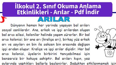 ilkokul_2_Sinif_Okuma_Anlama_Etkinlikleri_Arilar _Pdf_indir