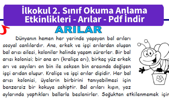 ilkokul_2_Sinif_Okuma_Anlama_Etkinlikleri_Arilar _Pdf_indir