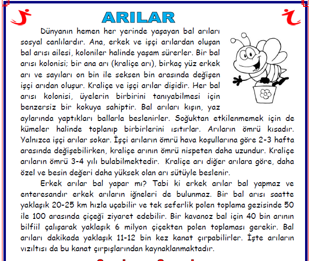 ilkokul_2_Sinif_Okuma_Anlama_Etkinlikleri_Arilar _Pdf_indir