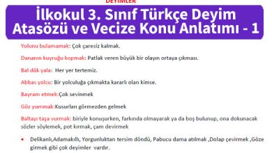 İlkokul_3_Sinif_Turkce_Deyim_Atasozu_ve_Vecize_Konu_Anlatımı_1