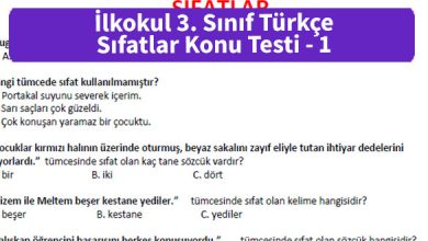 ilkokul-3-sinif-turkce-sifatlar-konu-testi