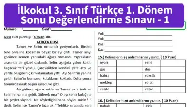 ilkokul 3 Sinif Donem Sonu Degerlendirme Testleri 1