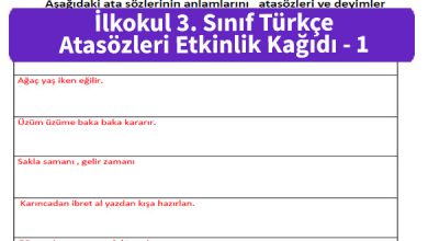 ilkokul 3 Sinif Turkce Atasozleri Etkinlik Kagidi