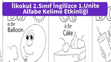 ilkokul 2 Sinif ingilizce 1 Unite Alfabe Kelime Etkinligi