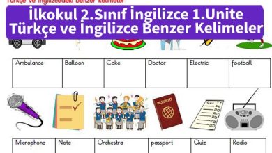 ilkokul_2_Sinif_ingilizce_1_Unite_Turkce_ve_ingilizcedek_benzer_kelimeler