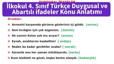 ilkokul_4_Sinif_Türkce_Duygusal_ve_Abartili_ifadeler_Konu_Anlatimi