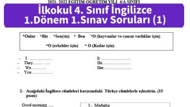 ilkokul 4 Sinif ingilizce 1 Donem 1 Sinav Sorulari 1 Resim