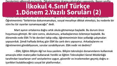 ilkokul_4_Sinif_Turkce_1_Donem_2_Yazili_Sorulari_2