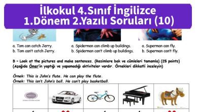 ilkokul 4 Sinif ingilizce 1 Donem 2 Yazili Sorulari 10