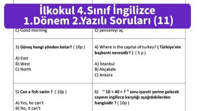 ilkokul 4 Sinif ingilizce 1 Donem 2 Yazili Sorulari 11