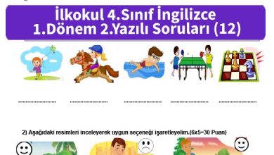 ilkokul_4_Sinif_ingilizce_1_Donem_2_Yazili_Sorulari_12