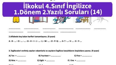 ilkokul 4 Sinif ingilizce 1 Donem 2 Yazili Sorulari 14