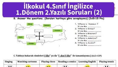 ilkokul_4_Sinif_ingilizce_1_Donem_2_Yazili_Sorulari_2