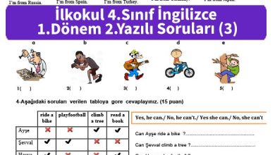 ilkokul_4_Sinif_ingilizce_1_Donem_2_Yazili_Sorulari_3