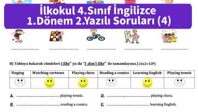 ilkokul_4_Sinif_ingilizce_1_Donem_2_Yazili_Sorulari_4