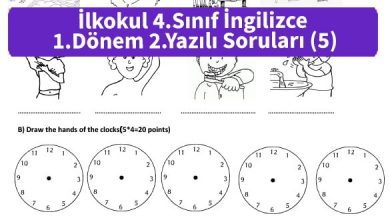 ilkokul_4_Sinif_ingilizce_1_Donem_2_Yazili_Sorulari_5