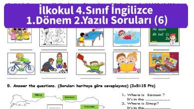 ilkokul_4_Sinif_ingilizce_1_Donem_2_Yazili_Sorulari_6