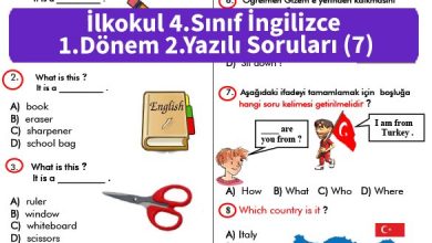 ilkokul 4 Sinif ingilizce 1 Donem 2 Yazili Sorulari 7 1