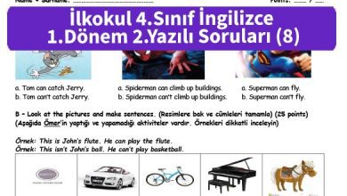 ilkokul_4_Sinif_ingilizce_1_Donem_2_Yazili_Sorulari_8