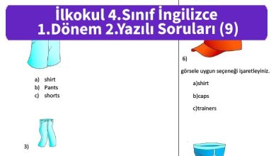 ilkokul 4 Sinif ingilizce 1 Donem 2 Yazili Sorulari 9