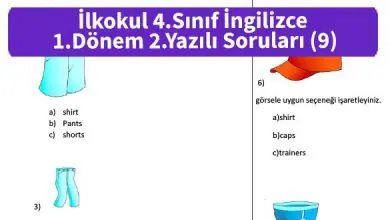 ilkokul 4 Sinif ingilizce 1 Donem 2 Yazili Sorulari 9