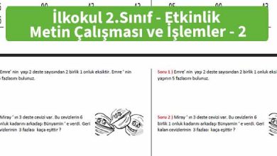 İlkokul 2.Sınıf – Etkinlik – Metin Çalışması ve İşlemler - 2