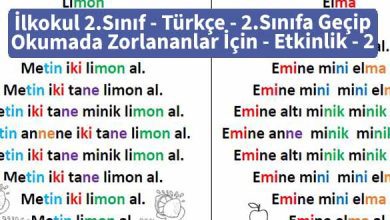İlkokul 2.Sınıf – Türkçe – 2.Sınıfa Geçip Okumada Zorlananlar İçin – Etkinlik-2
