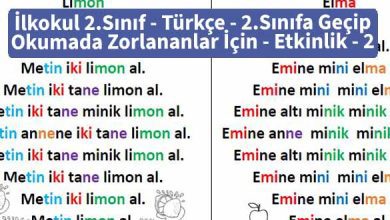 İlkokul 2.Sınıf – Türkçe – 2.Sınıfa Geçip Okumada Zorlananlar İçin – Etkinlik-2