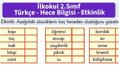 ilkokul_2_sinif_turkce_etkinlik_hece_bilgisi_foto_1