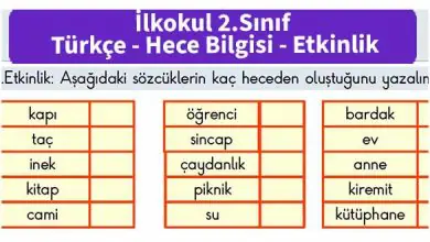 ilkokul_2_sinif_turkce_etkinlik_hece_bilgisi_foto_1