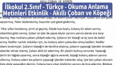 İlkokul 2.Sınıf – Türkçe – Okuma Anlama Metinleri – Etkinlik – Akıllı Çoban ve Köpeği – Pdf İndir