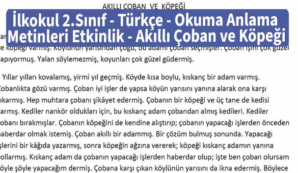 İlkokul 2.Sınıf – Türkçe – Okuma Anlama Metinleri – Etkinlik – Akıllı Çoban ve Köpeği – Pdf İndir